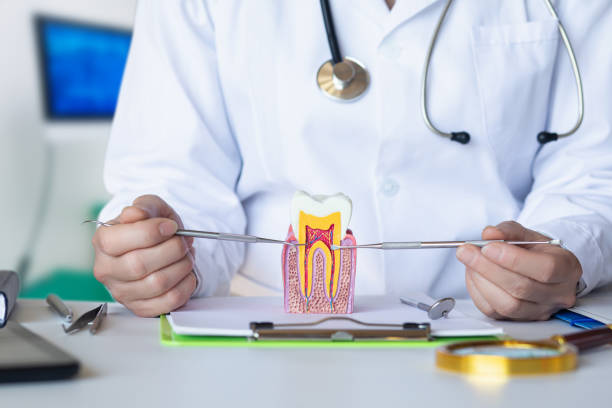 Best Broken or Chipped Tooth Repair in Firestone, CO